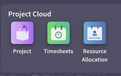 Project Cloud Apps: Project, Timesheets, Resource Allocation